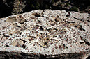 080531-6761_Coins