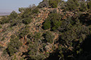 080531-6789_Grand_Canyon
