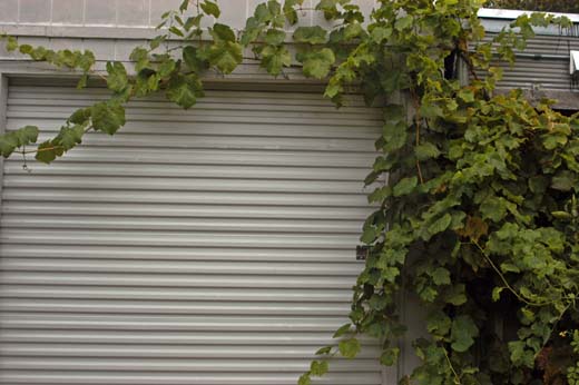060928-8264_Gardens