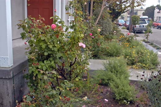 060928-8272_Gardens