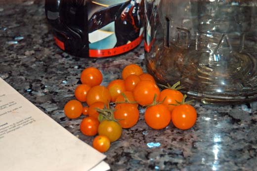 060928-8289_Gardens
