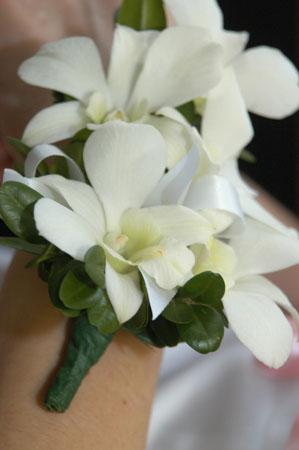 051230-4412_Flowers