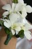 051230-4412_Flowers
