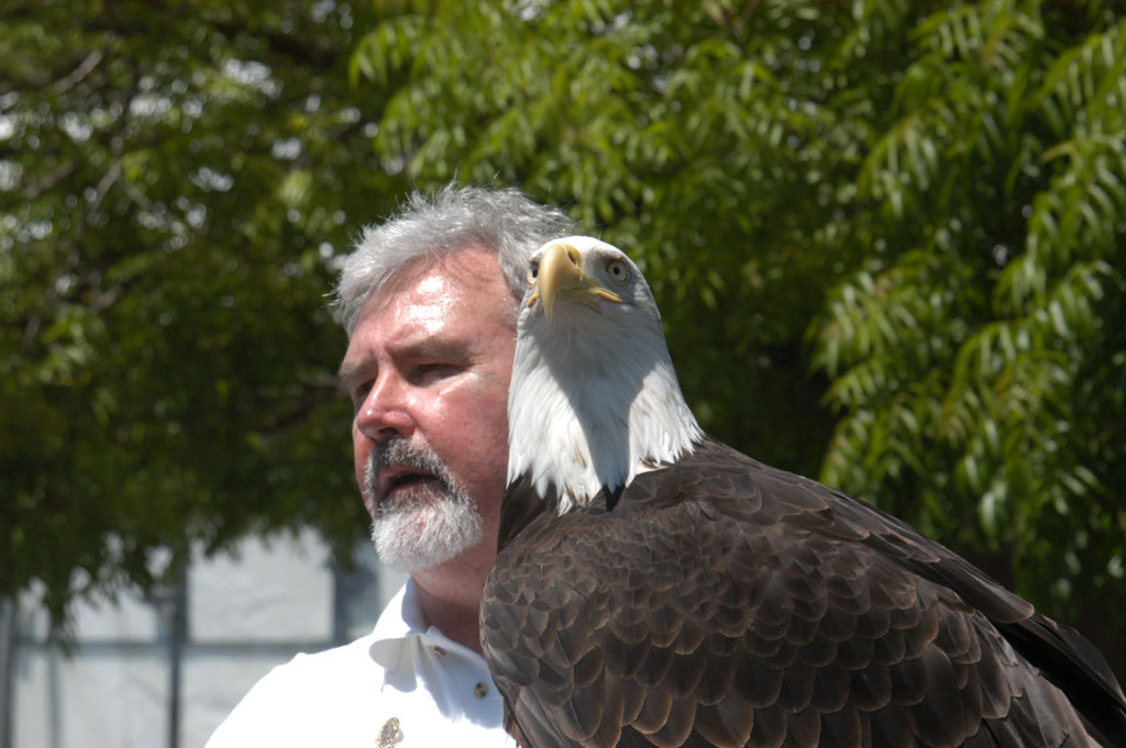 090515-9476_Sequoia_eagle