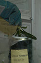 090516-9721_Liquid_N2