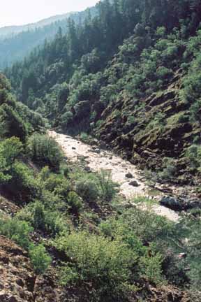 photo of river below in a gorge