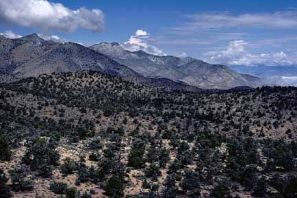 Photo of the Inyo Crest