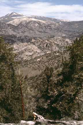 photo of canyon with mountains beyond