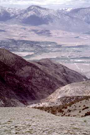 photo looking down canyon, Sierra beyond