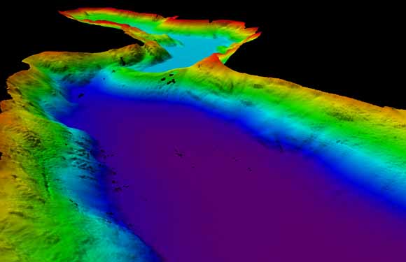 map of the seafloor with the water missing