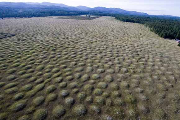 low-angle oblique air photo of mounds