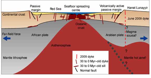 Cross section of spreading