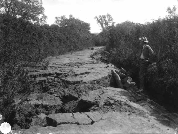 Man viewing damaged surface