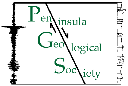 PGS logo