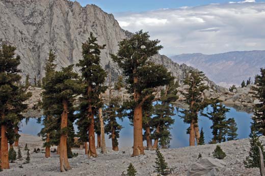 061009-8430_Lone_Pine_Lake