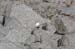 061009-8436_Carlsbad_twin