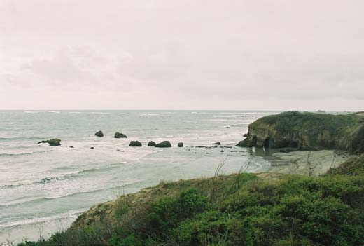 070226-0002_Ano_Nuevo_Janet