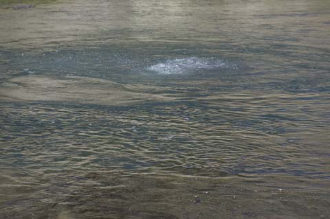 070806-1857_Hot_Creek