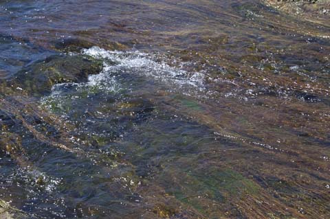 070806-1862_Hot_Creek