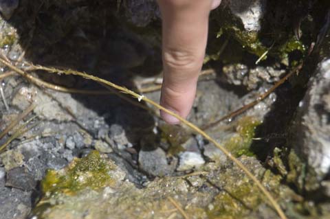 070806-1868_Hot_Creek