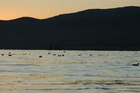 070807-1988_Dawn_tufa