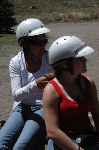 070807-2141_Horses