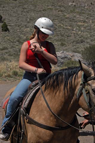 070807-2154_Horses
