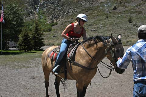 070807-2158_Horses