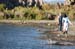 070805-1775_Evening_tufa