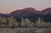 070807-1980_Dawn_tufa