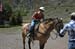 070807-2158_Horses