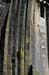 070808-2189_Postpile