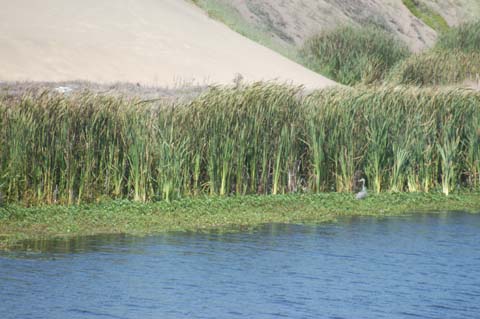 070825-2431_Abbotts_Lagoon
