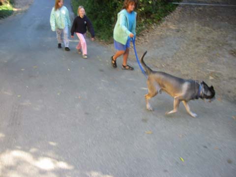 070901-3909_Jazz