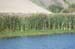 070825-2431_Abbotts_Lagoon