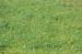 070825-2433_Marsh