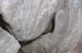 070825-2457_Driftwood