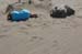 070825-2469_Driftwood_girl
