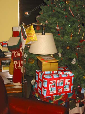 071225-4131_Christmas