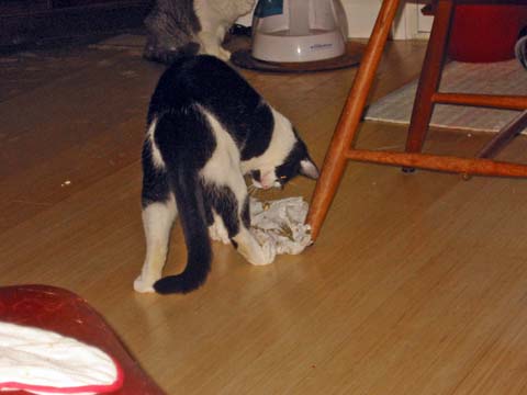 071225-4145_Lola