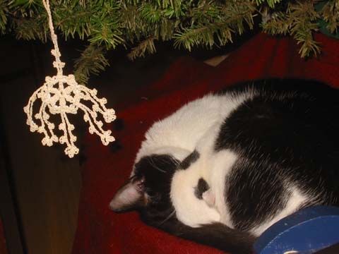 071225-4178_Lola