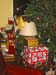 071225-4131_Christmas