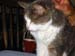 071225-4169_Malie