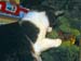 071225-4170_Lola