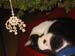 071225-4178_Lola