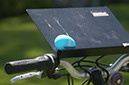 080328-4686_Easter
