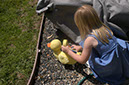 080328-4712_Easter