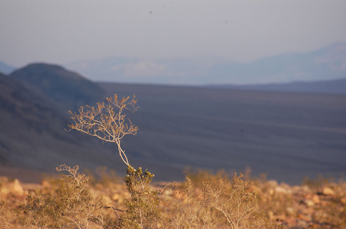 080418-5187_Bajada_sunset