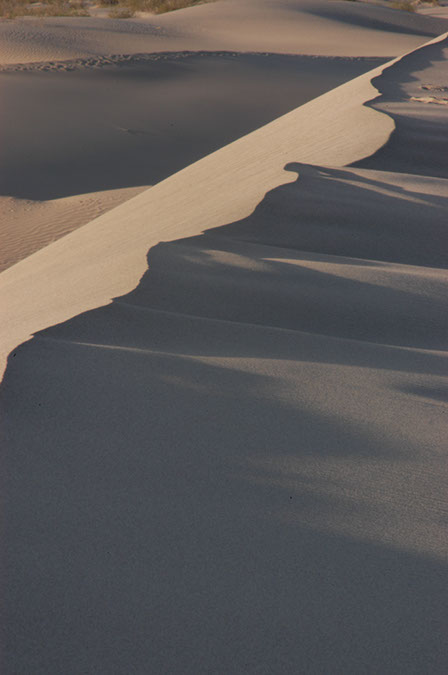 080419-5273_Sand_dunes