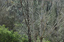 090329-8833_Yosemite_with_Kim